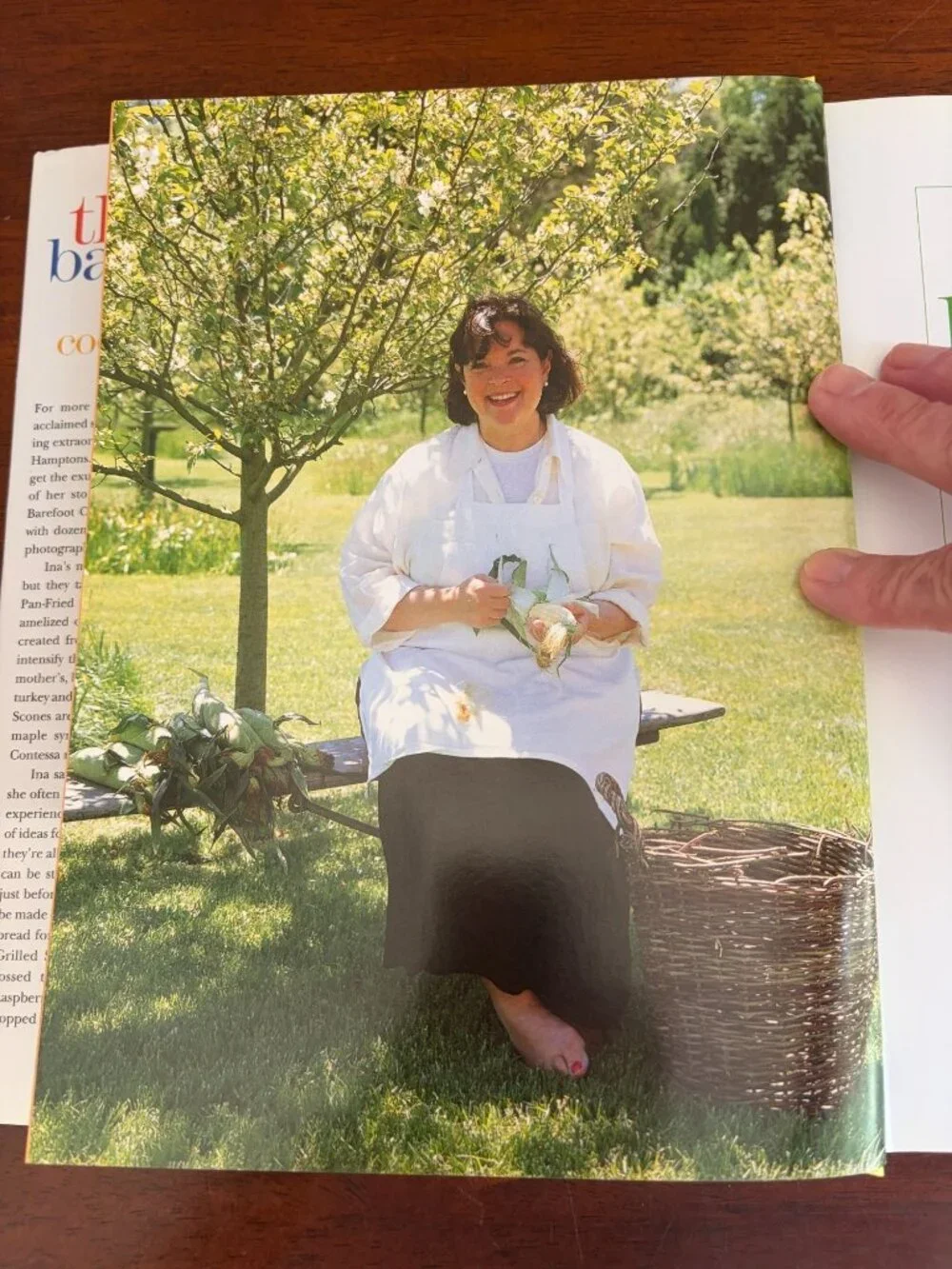 The Barefoot Contessa Cookbook by Ina Garten, Hardcover, 1999